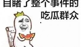 吃瓜群众在七零,吃瓜群众的欢乐时光